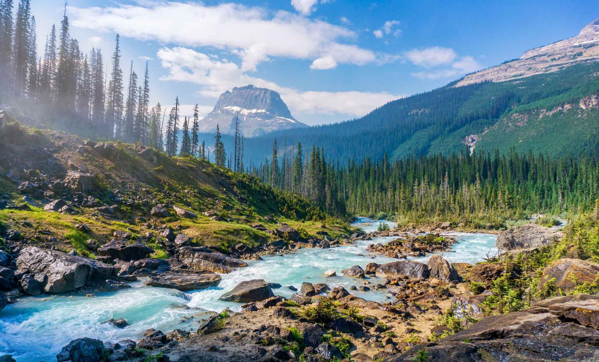 Eau et nature